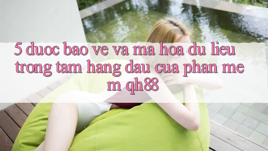 5. Được bảo vệ Và Mã hóa dữ liệu: Trọng Tâm Hàng Đầu Của Phần mềm QH88
