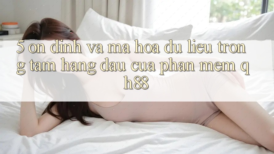 5. Ổn định Và Mã hóa dữ liệu: Trọng Tâm Hàng Đầu Của Phần mềm QH88