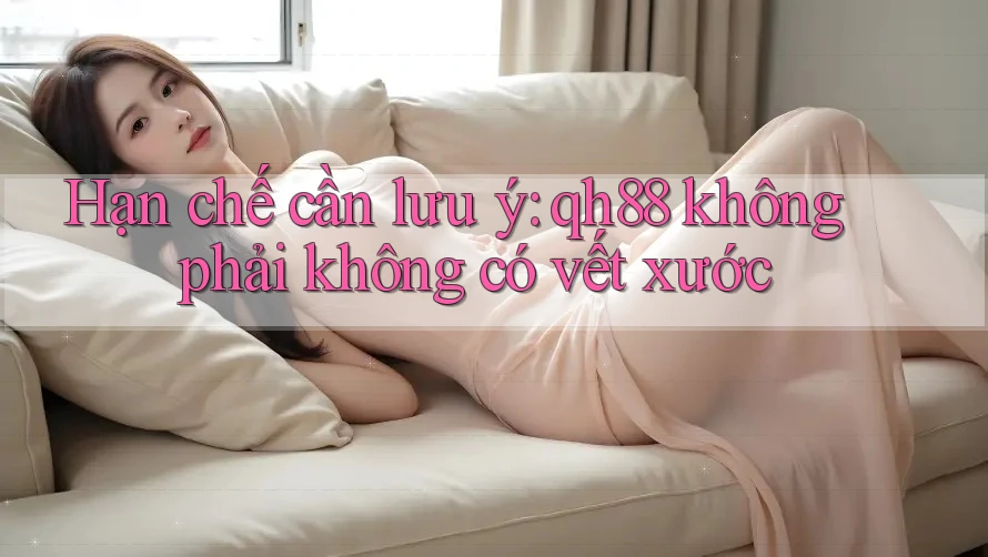Hạn chế cần lưu ý: qh88 không phải không có vết xước Hạn chế cần lưu ý: qh88 không phải không có vết xước