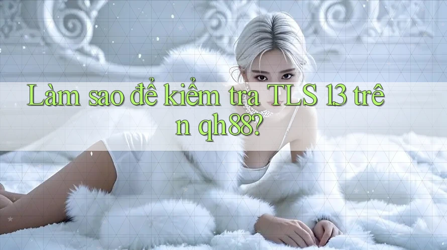 Làm sao để kiểm tra TLS 1. 3 trên qh88? Làm sao để kiểm tra TLS 1. 3 trên qh88?